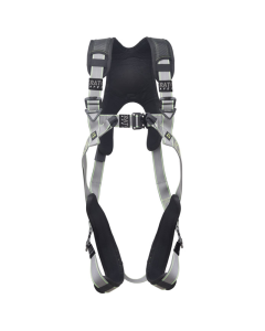 2-Point Full Body Harness