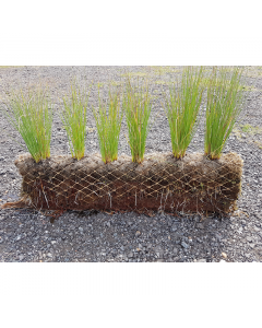 Coir Pallets & Sods