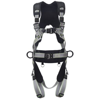 4-Point Harness